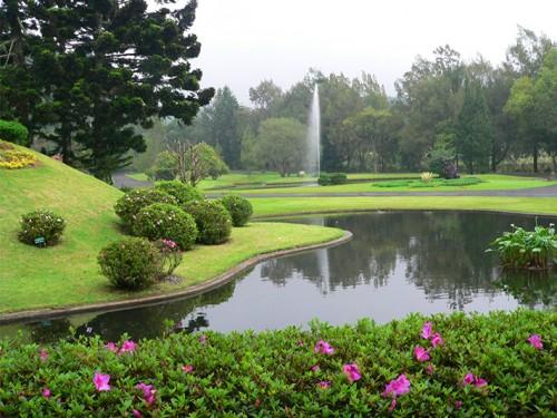 Bogor Botanical Garden Bicentennial Celebrations 2017 