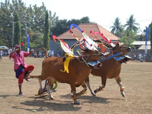 Lovina Festival 2017 on the shores of North Bali