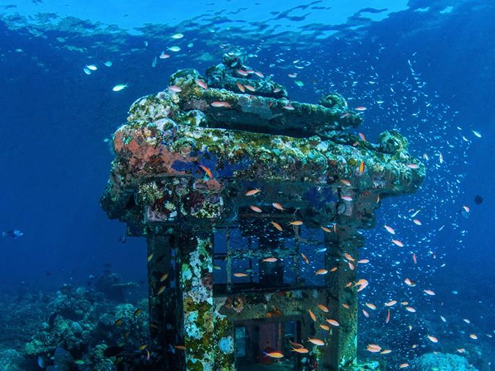 The Buleleng Bali Dive Festival:  Coral Reef Conservation through Ecotourism