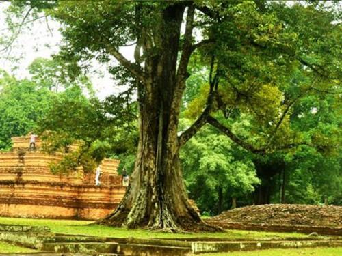 The Muaro Jambi Temple Festival and the Vesak Ritual