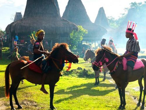  The Unique 1001 SANDALWOOD HORSES FESTIVAL on SUMBA Island