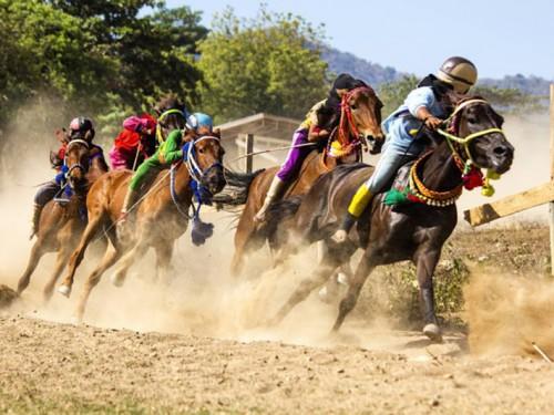  The Unique 1001 SANDALWOOD HORSES FESTIVAL on SUMBA Island