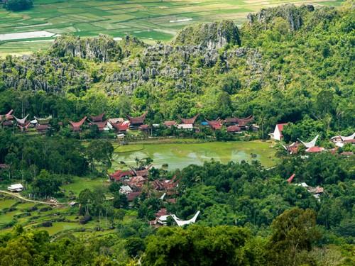 Toraja Marathon 2017: “Run Above the Clouds”