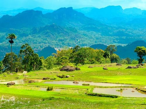 Toraja Marathon 2017: “Run Above the Clouds”