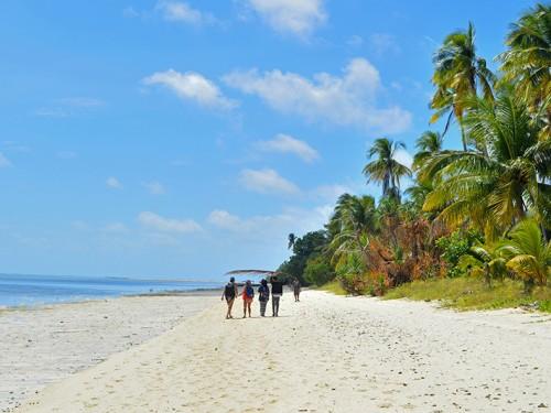 Wakatobi Wave 2017: Explore the Underwater Wonders of Wakatobi