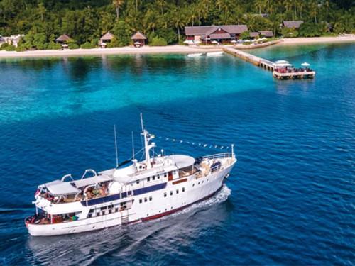 Wakatobi Wave 2017: Explore the Underwater Wonders of Wakatobi