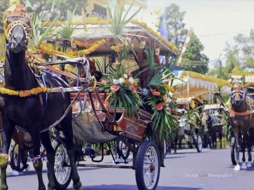 Watch the Tomohon International Flower Festival 2017 in the Cool Mountain air