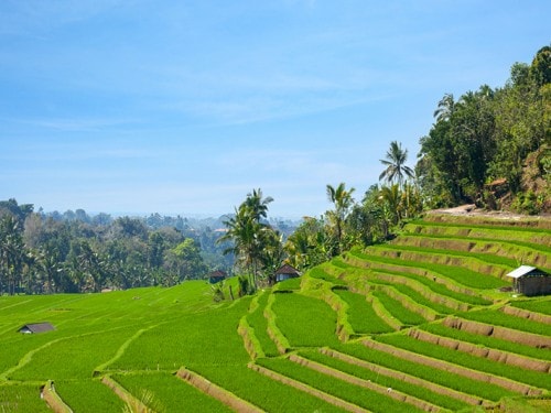 Wonderful Indonesia Festival in Oman attracts tourists from the Middle East