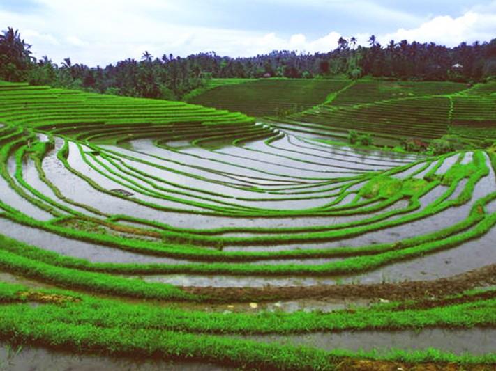 World Culture Forum 2016, Bali: Transforming Local Wisdom into Global Values