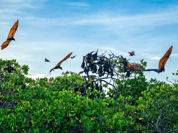 10 Reasons to Visit the Magnificent Komodo National Park