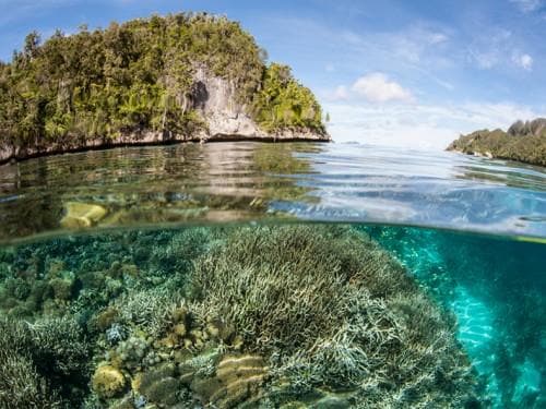  亞洲十大潜水地點裏的4個地點都在印尼