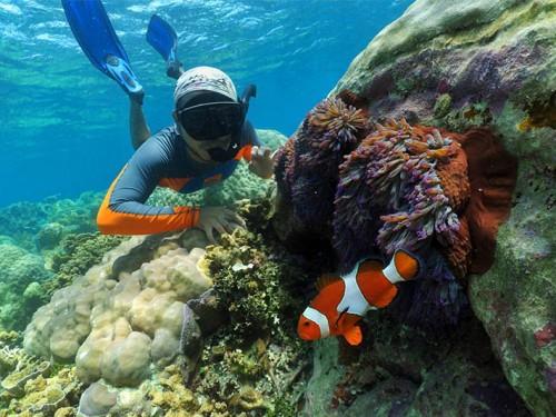  亞洲十大潜水地點裏的4個地點都在印尼