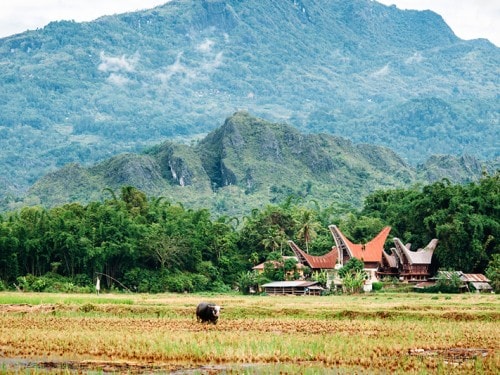  60 Tours to Indonesia's Exotic Destinations await Delegates to IMF-World Bank Annual Meeting 2018 in BALI