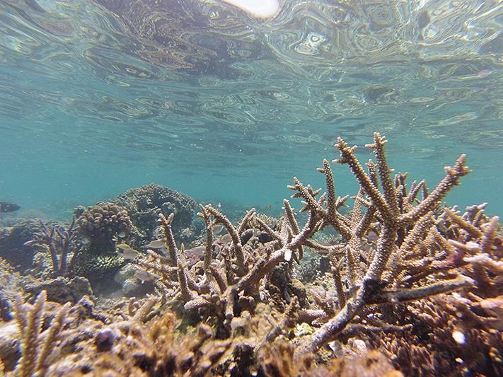 Adventure Sailing the Komodo Islands