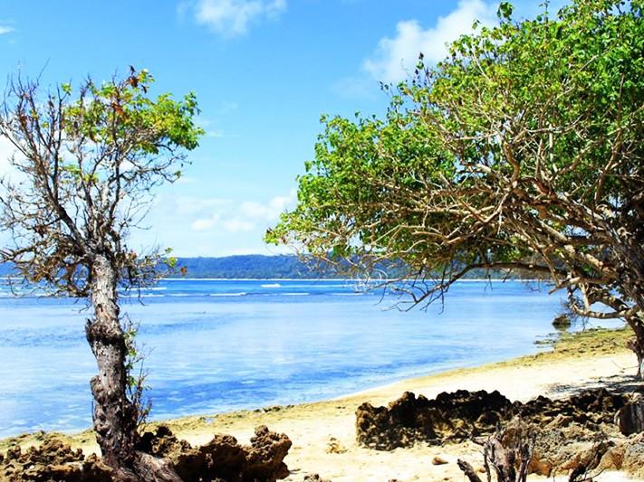 7 Secret Beaches In Banyuwangi That Will Leave You Awestruck