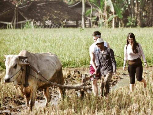 Experience Java's Rural Life in These 5 Villages and Get Closer to the People