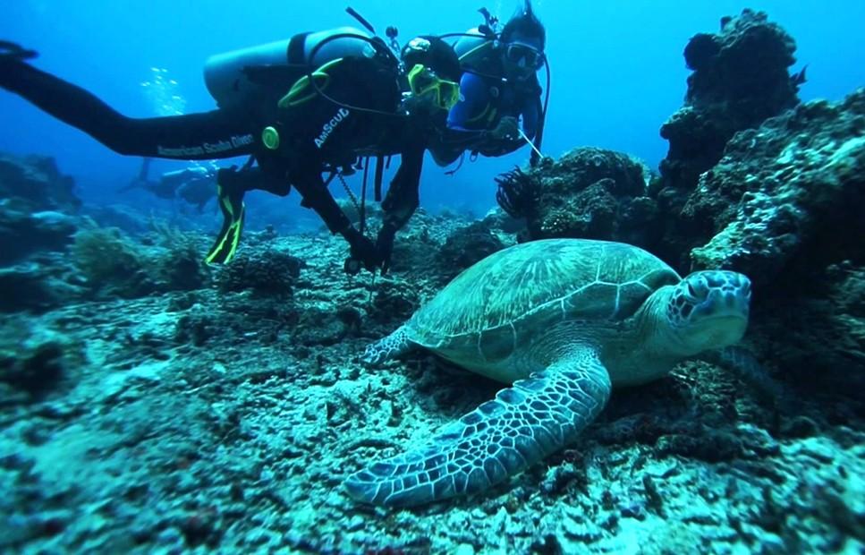 Follow the Action on Gili Trawangan