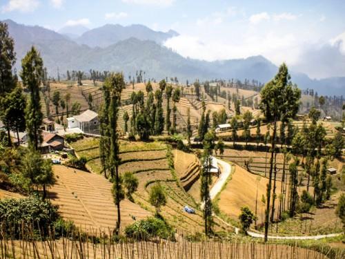 NGADAS, a serene village above the clouds at Mt. Bromo, East Java