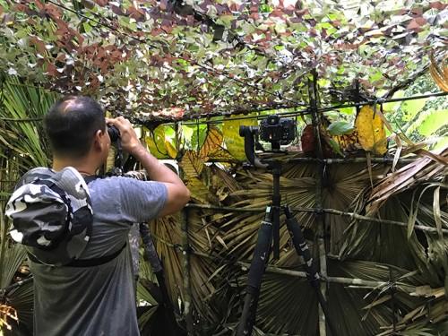 Photographing Endemic Wildlife of North Sulawesi