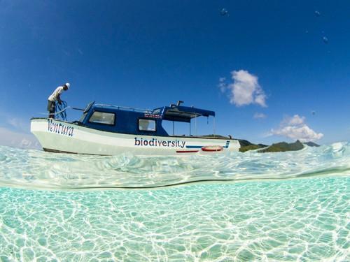 Raja Ampat, A Paradise in an Unexplored Area for Both Divers and Nature Lovers