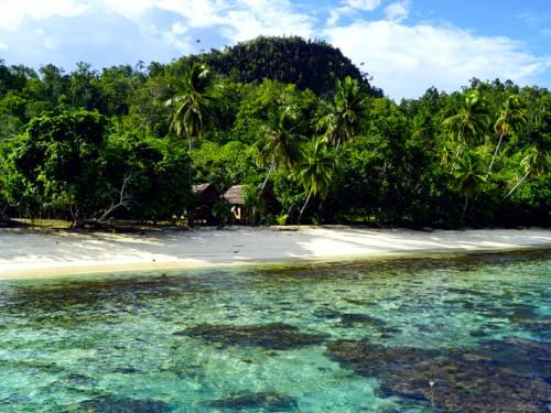 Raja Ampat, A Paradise in an Unexplored Area for Both Divers and Nature Lovers