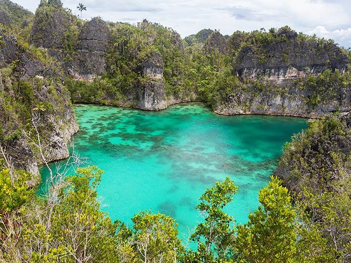 Raja Ampat Bliss: Tropical Serenity Awaits