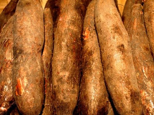 Tasty Traditional Treats of Flores Island