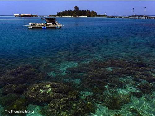 The Magnificent Seven: Indonesia’s 7 Remarkable Marine National Parks