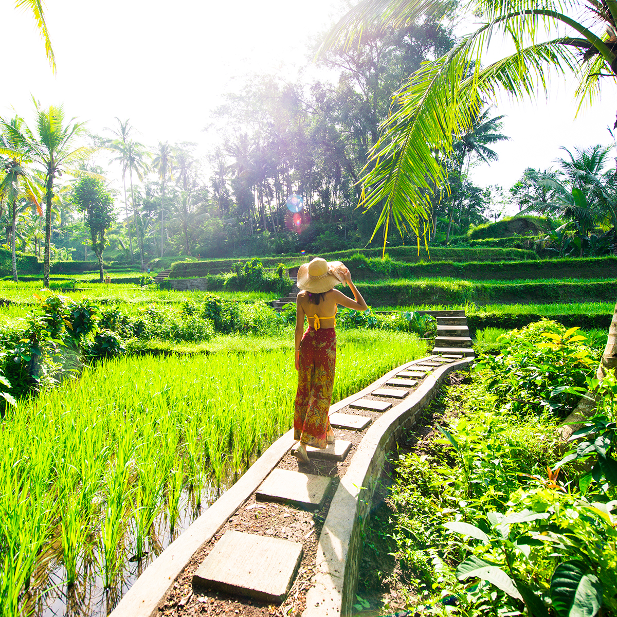 bali travel guide covid