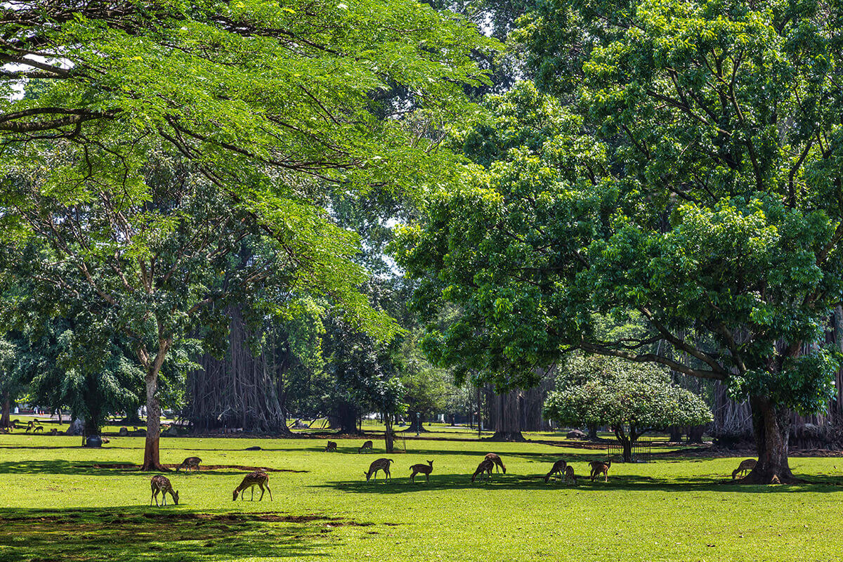 BOGOR: the Most Stunning Golf Venue in Asia 2017