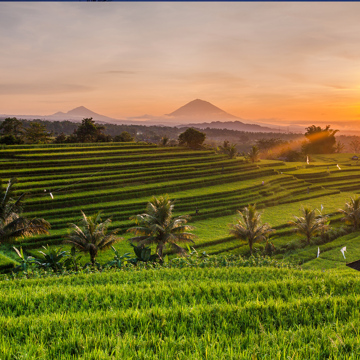 bali travel guide covid