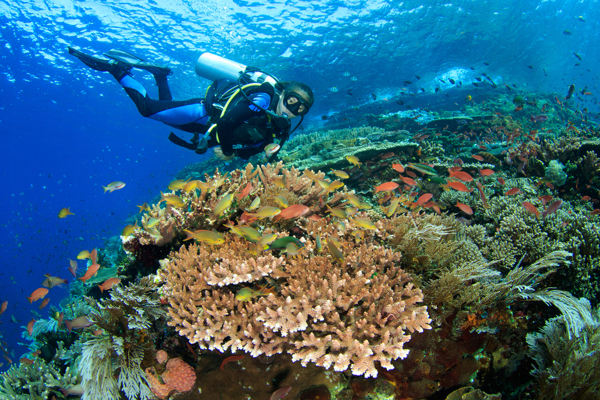 taman nasional komodo
