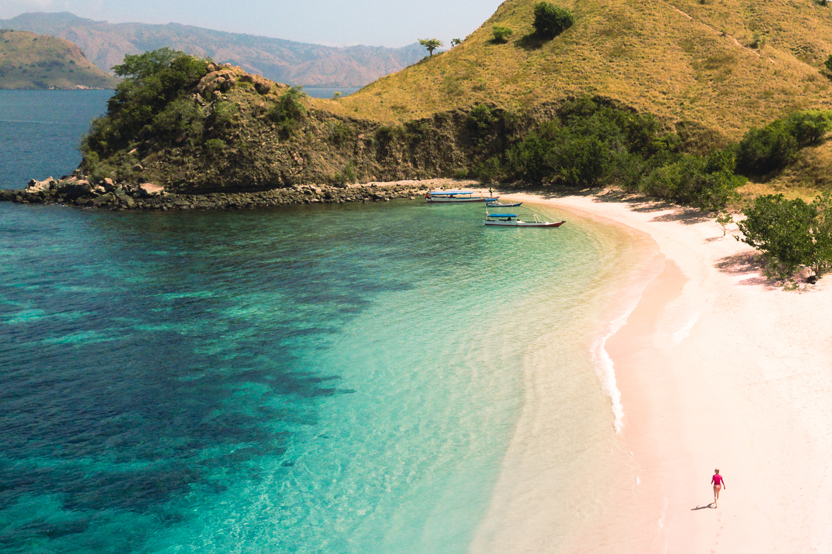 taman nasional komodo
