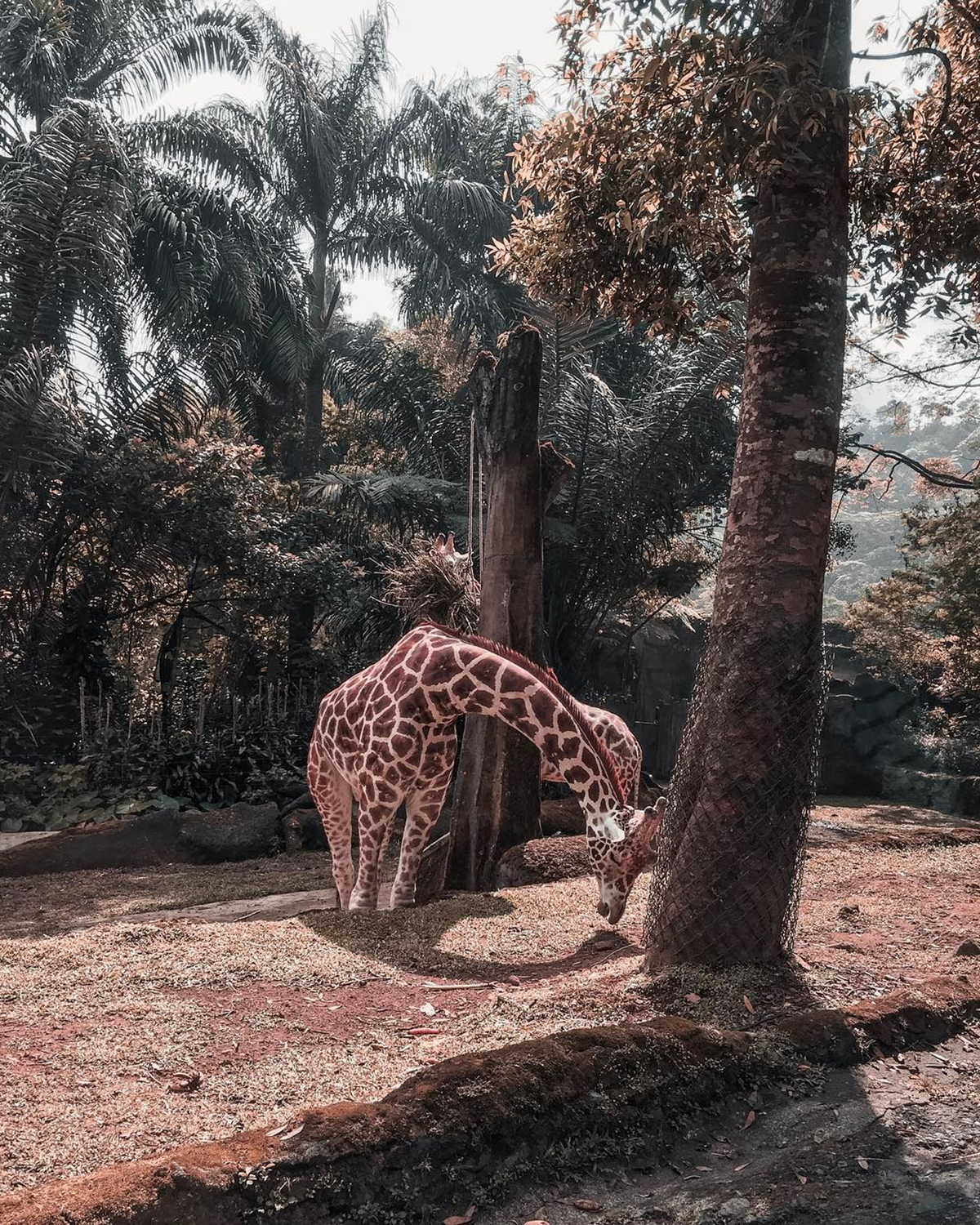 10 Best Short Escape You Can Discover Near Jakarta