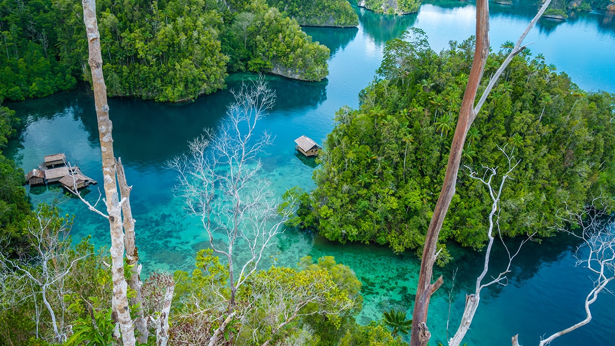 10 Breathtaking Places for Non-Divers to Experience in Raja Ampat