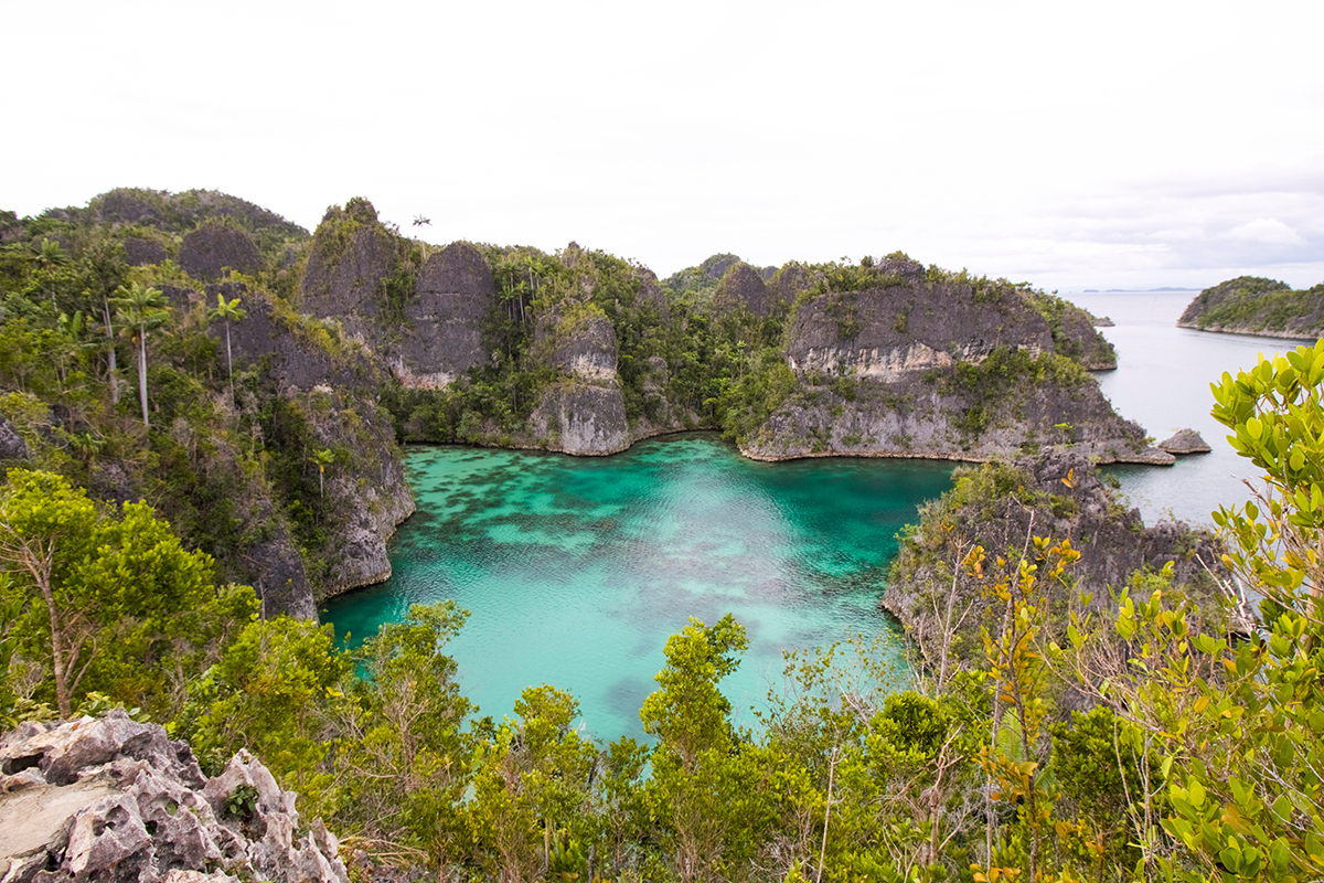 10 Breathtaking Places for Non-Divers to Experience in Raja Ampat