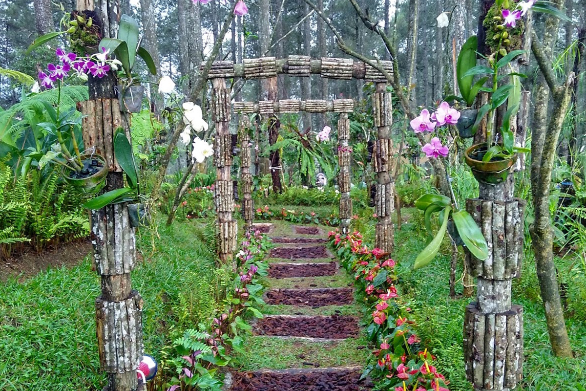 10 Reasons Why You should Experience the CIKOLE ORCHID FOREST at LEMBANG