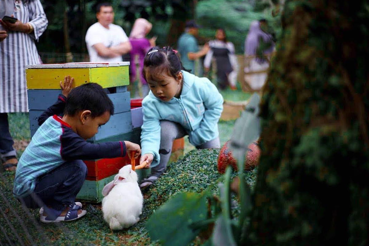 10 Reasons Why You should Experience the CIKOLE ORCHID FOREST at LEMBANG