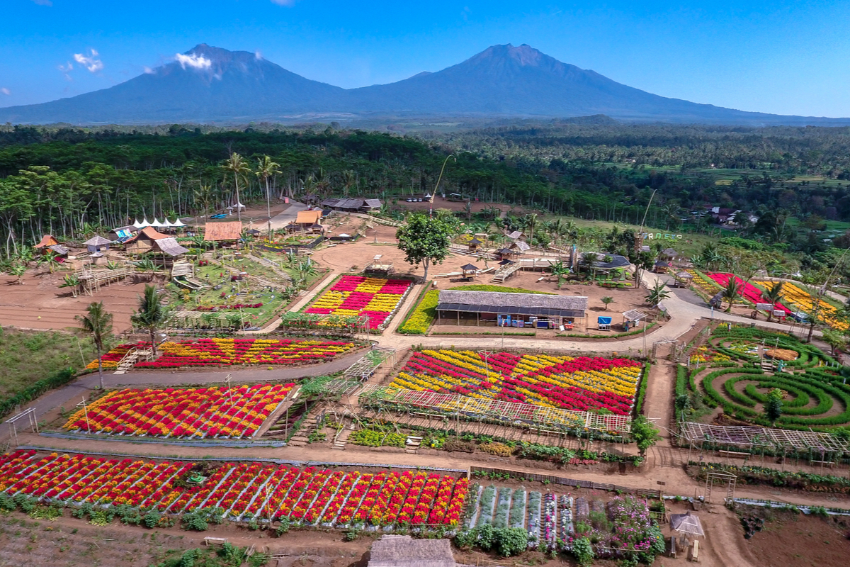 Keindahan Alam dan Kesehatan Produk: Kekuatan Agrowisata Organik Desa Papayan