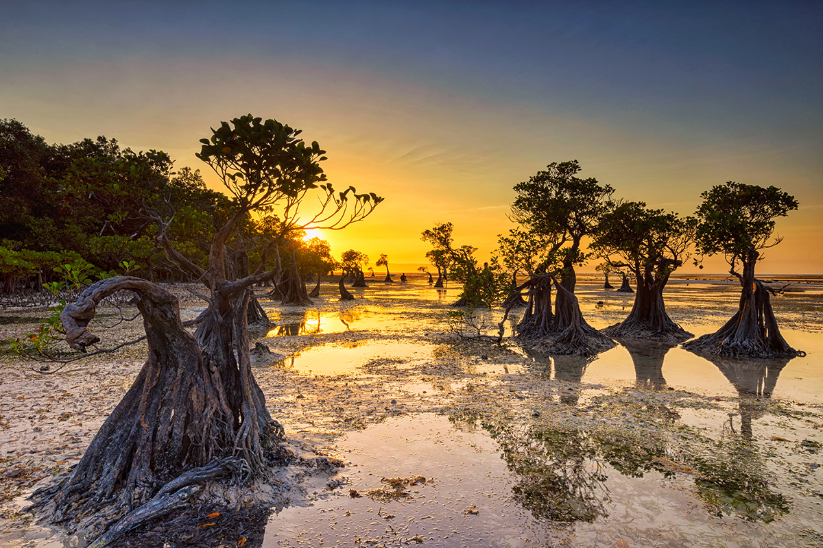 10 Tropical Paradises in Sumba for Your Magical Summer