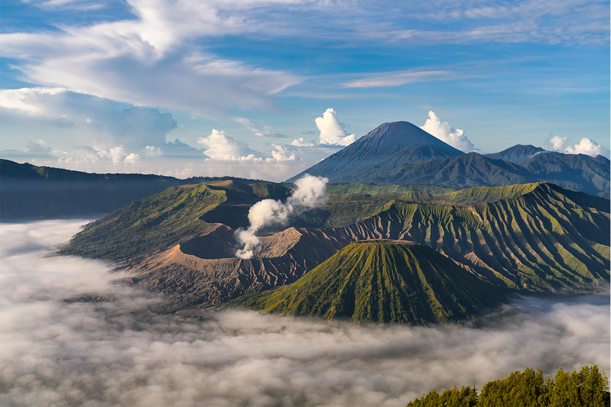 The finest creative website from east indonesia