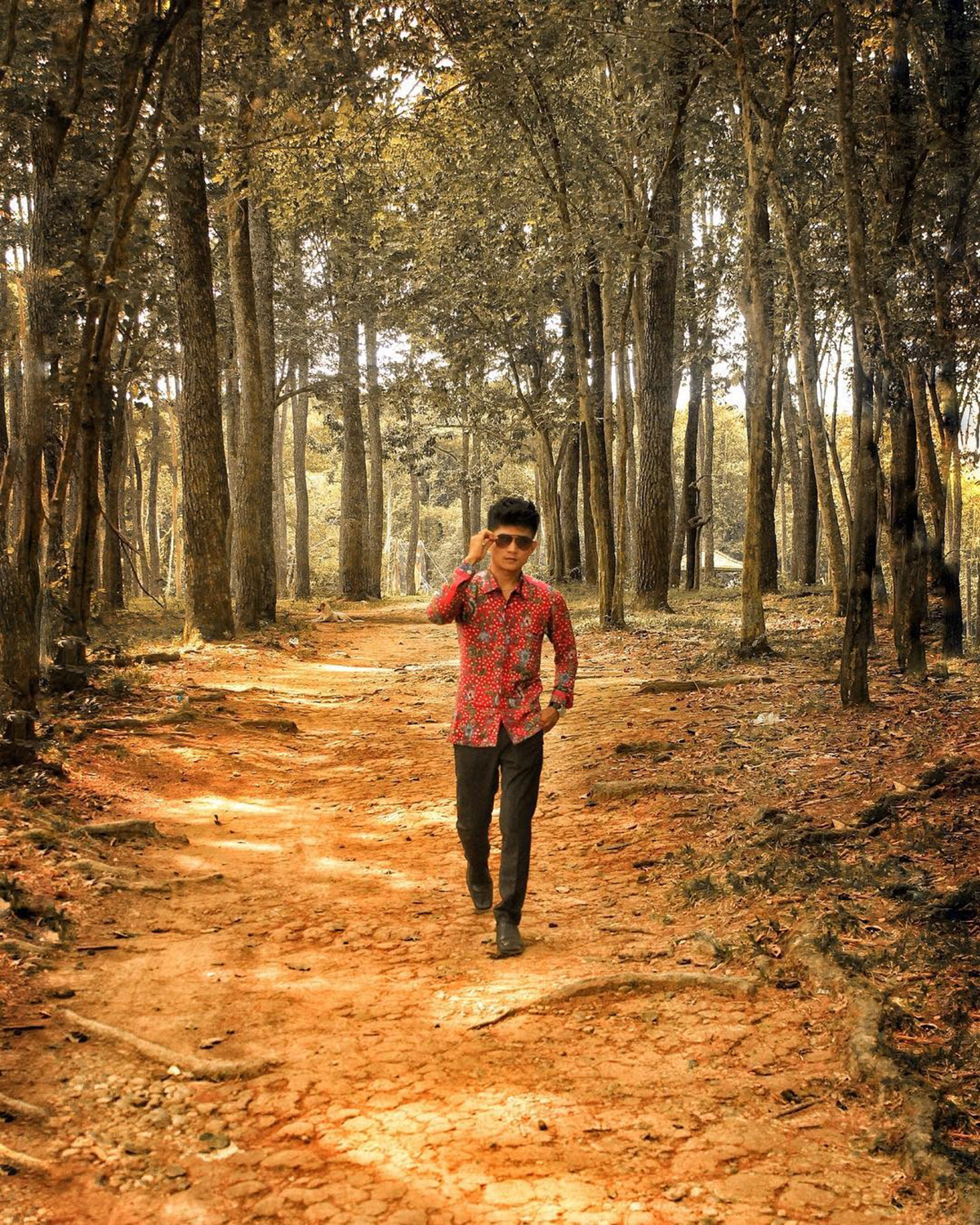 12 Epic Things to Do That You Can Discover in South Sumatra
