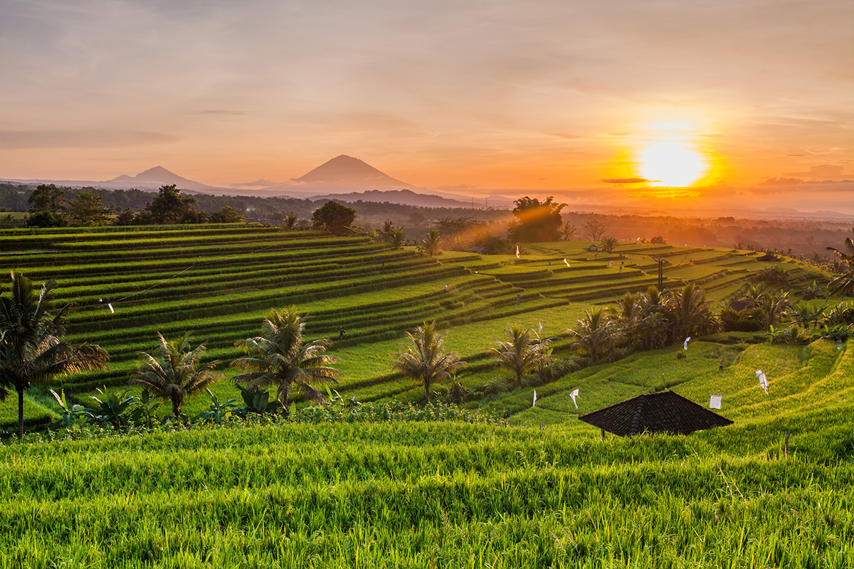 Ideeën om uw drie daagse vakantie in Bali bijzonder te maken