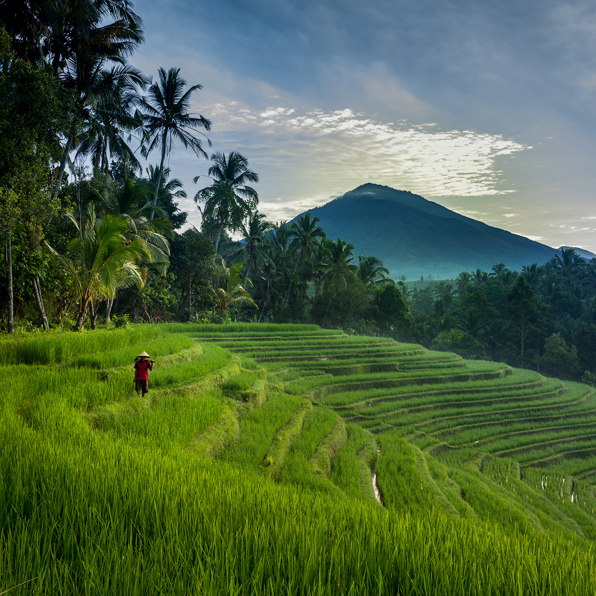 b indonesia field trip