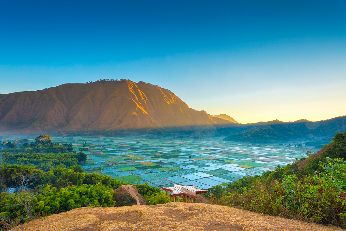 pemandangan dari puncak bukit Pergasingan Lombok