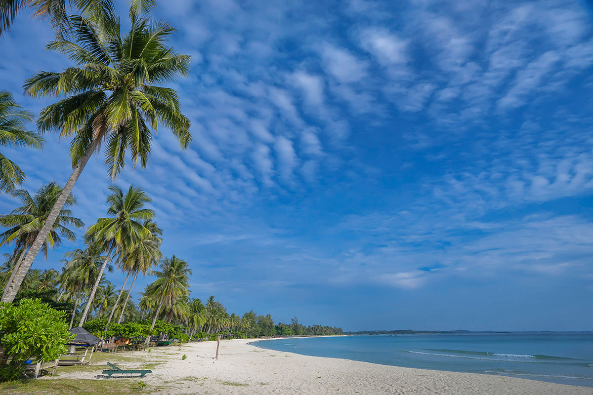 the view of Trikora Beach