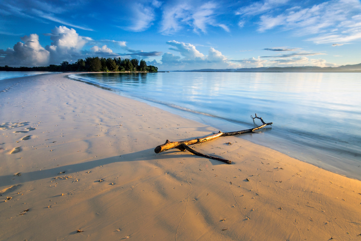 a little log on Dodola Island