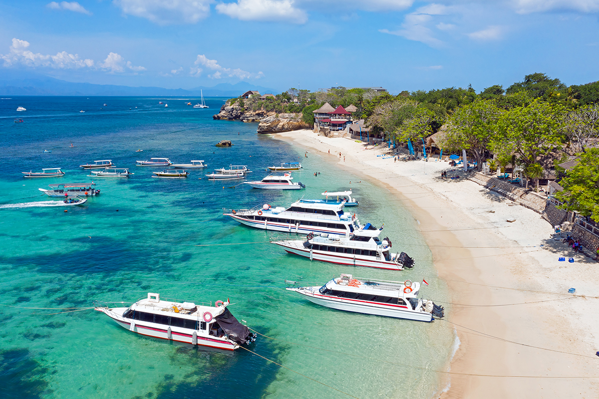 a group of cruise ships on a beach, floating upon a clear blue sea, with a view of several greeneries on the right side