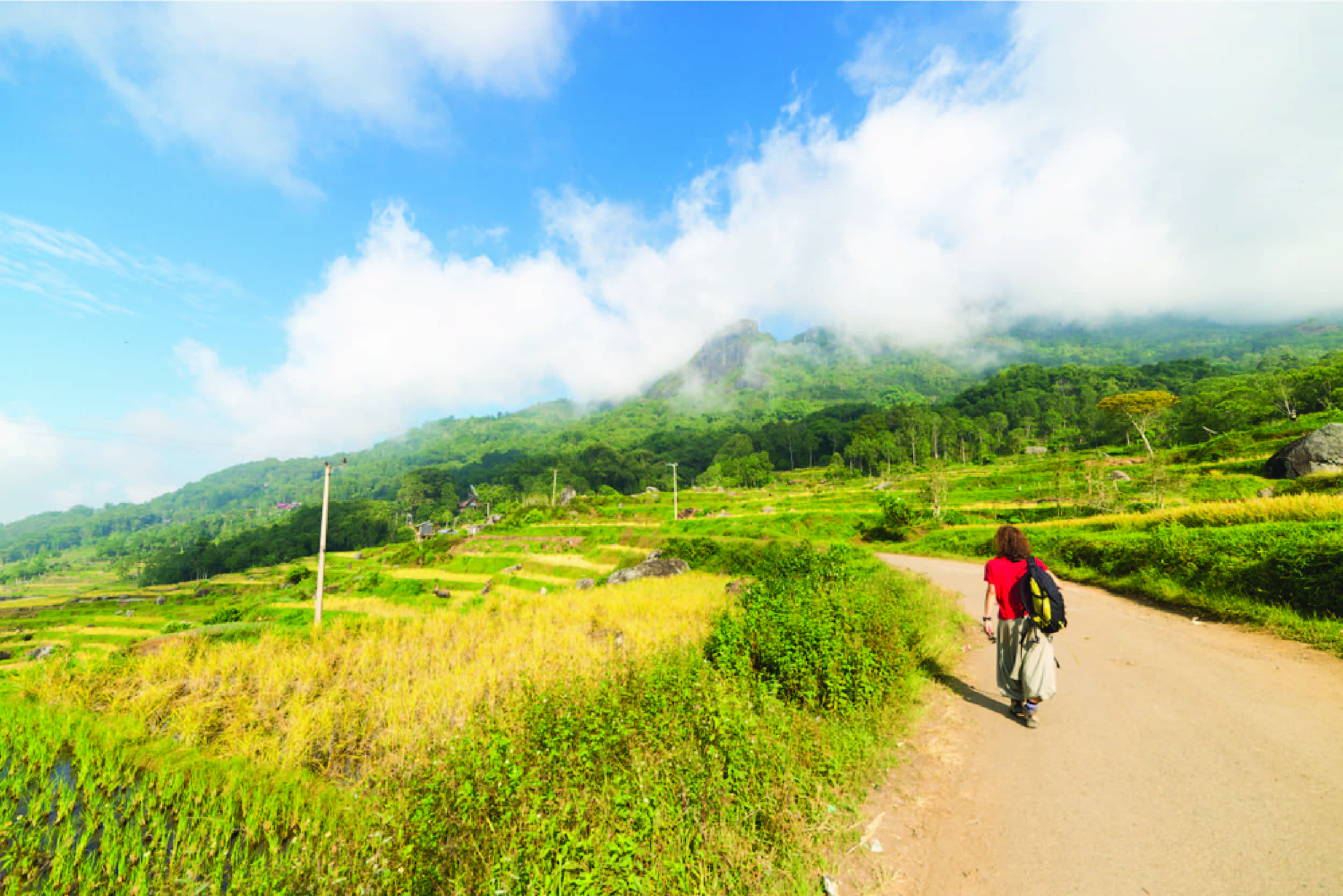 9 Things You Should Add to Your Must-Do List in Tana Toraja