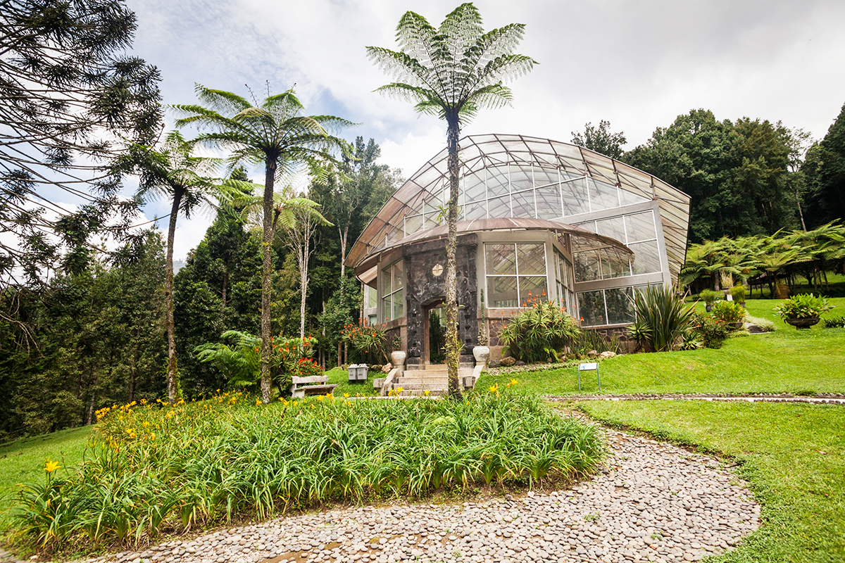 botanical gardens